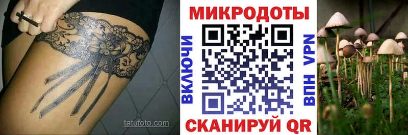 Галлюциногенные грибы MAGIC MUSHROOMS  Реутов 